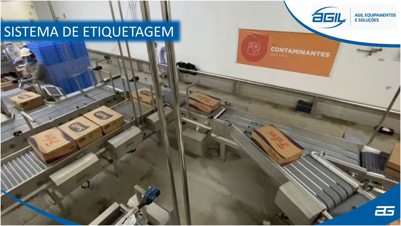 Sistema de Pesagem e Etiquetagem Automática 1 Sistema de Pesagem e Etiquetagem Automática